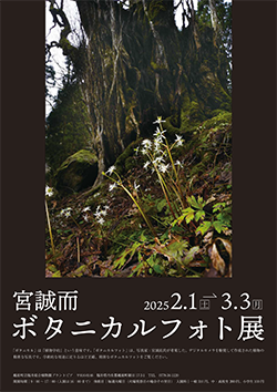 2025 宮誠而「ボタニカルフォト展」