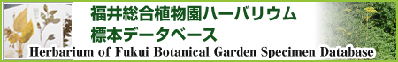 福井植物園ハーバリウム標本データベース